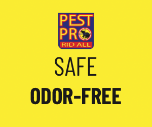 Residential Pest Control